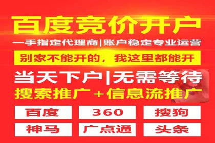 竞价广告的创意与执行：经典案例剖析
